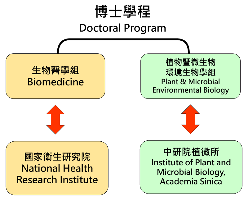 Doctoral Program:1.Biomedicine
--National Health Research Inztiute; 2.Plant & Microbial Environmental Biology--Institute of Plant and Microbial Biology, Academia Sinica